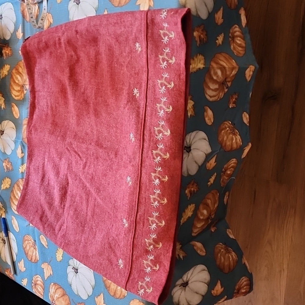 American EagleOutfitters Women's Size 12 Wool Skirt